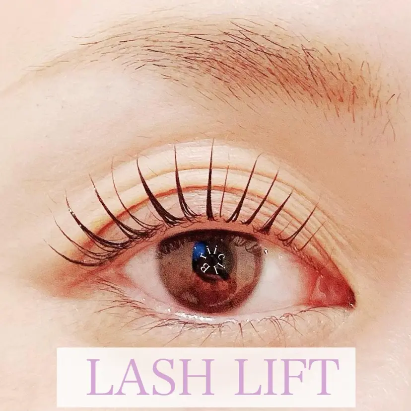 Briicil ブリーシルの掲載