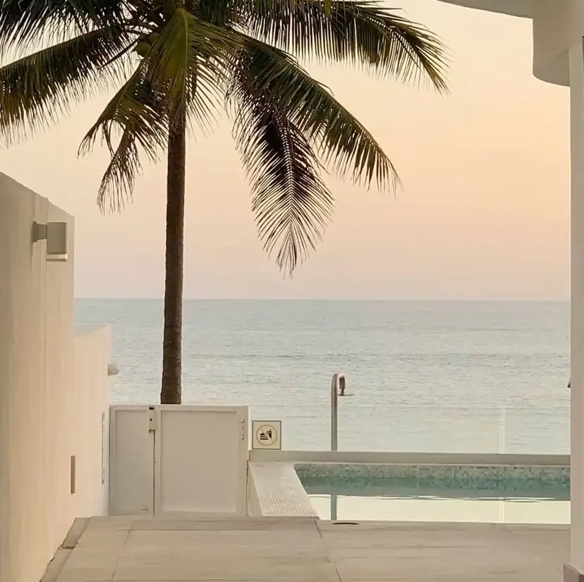 清水 星奈の掲載