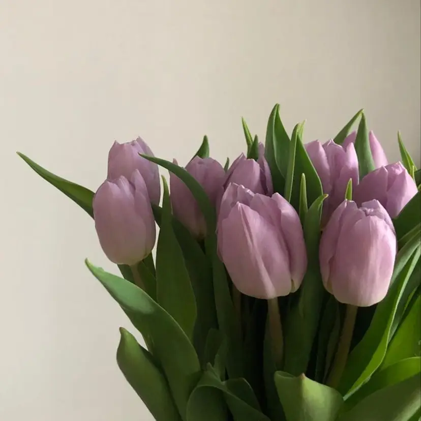 EYELA /ヤマザキの掲載