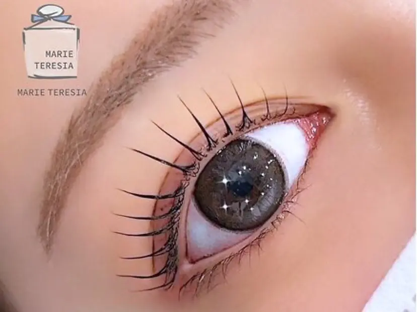 マリーテレジア MITSUKIの掲載