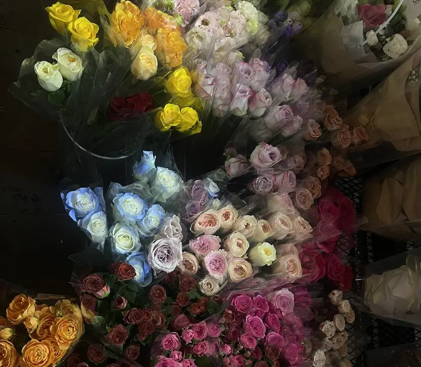 勝山 雪菜の掲載