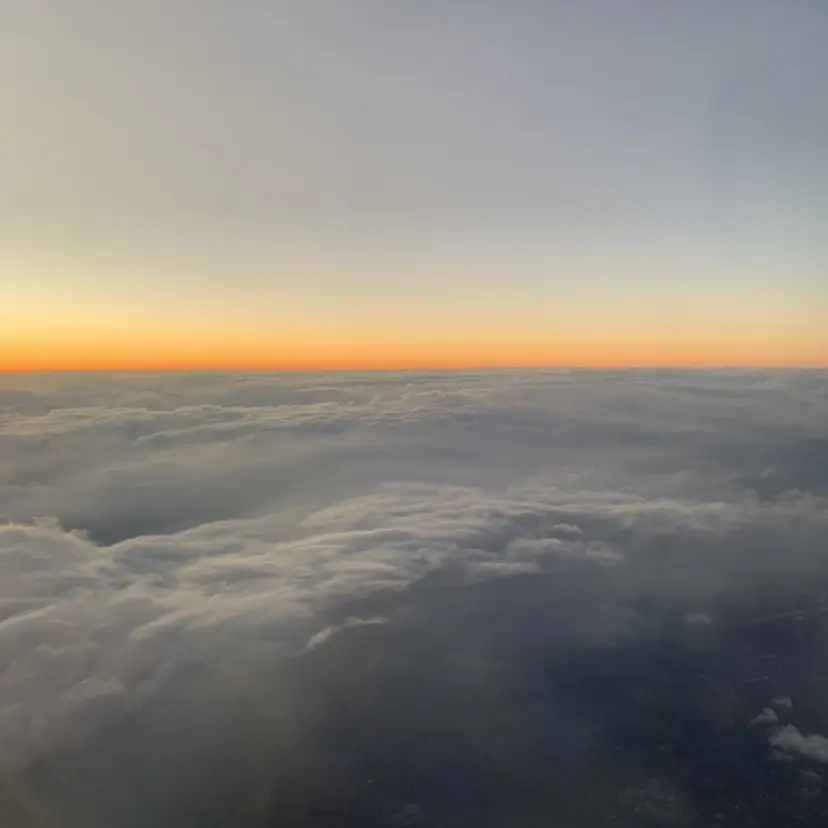 Shimizu Mokaの掲載