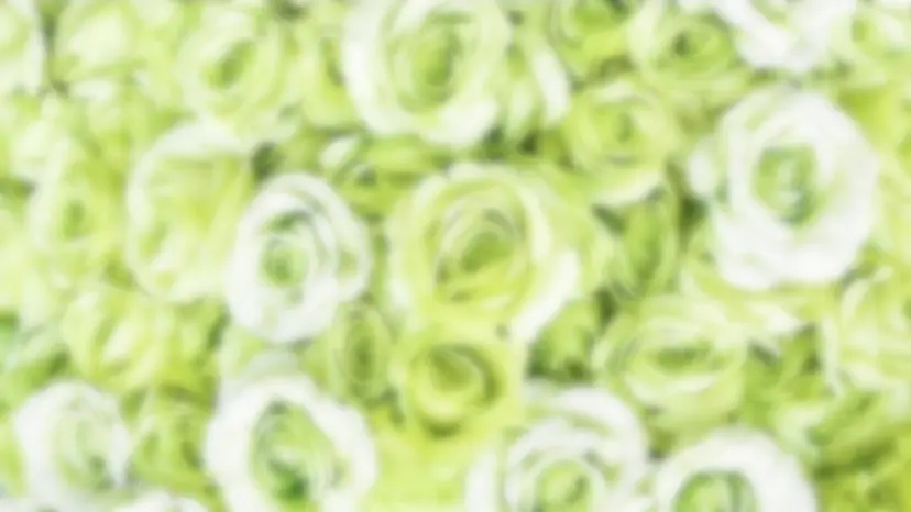 CULET NATSU🍀の掲載