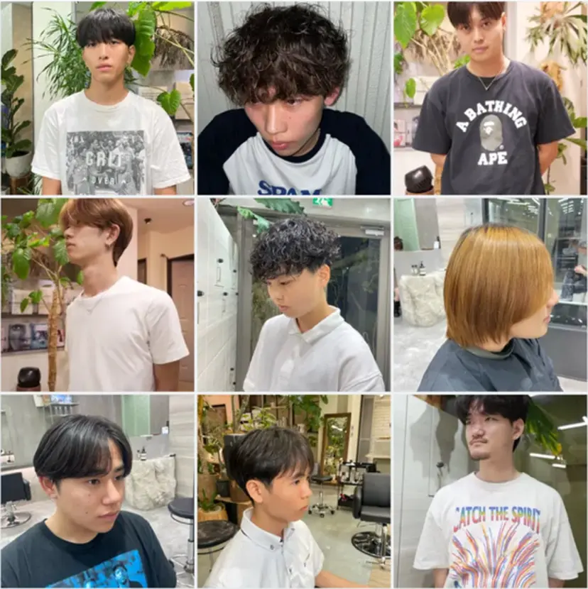 the path Seiyaの掲載