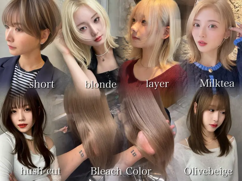 Aster 店長 れおん✂️の掲載