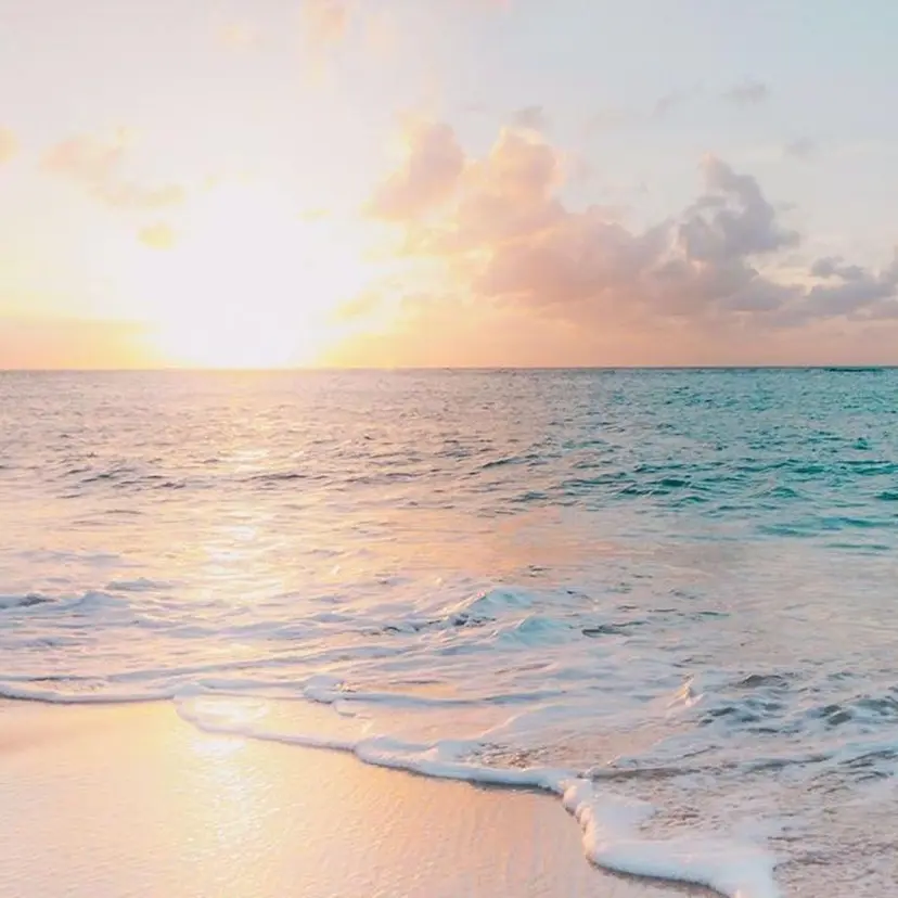 Suu... /高岳駅、久屋大通駅の掲載