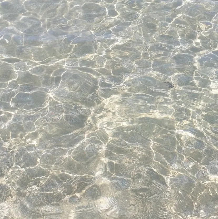 豊田 有香の掲載