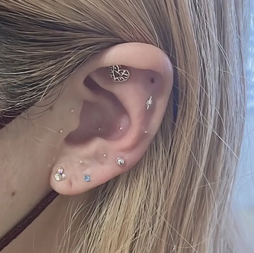 Aliru クシダの掲載