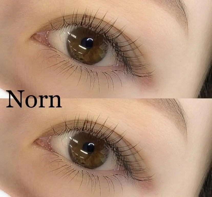 中尾 美咲の掲載