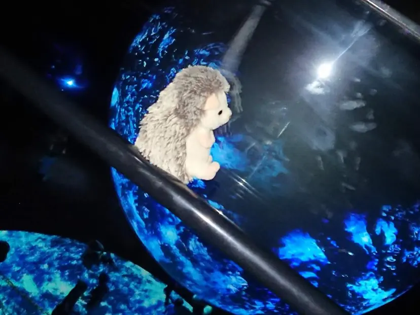 ALCIONE 那珂川市の掲載