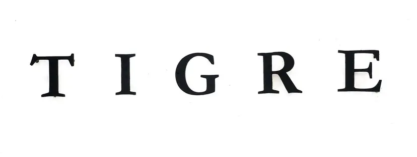 TIGRE⊹ ࣪ ˖ harukaの掲載