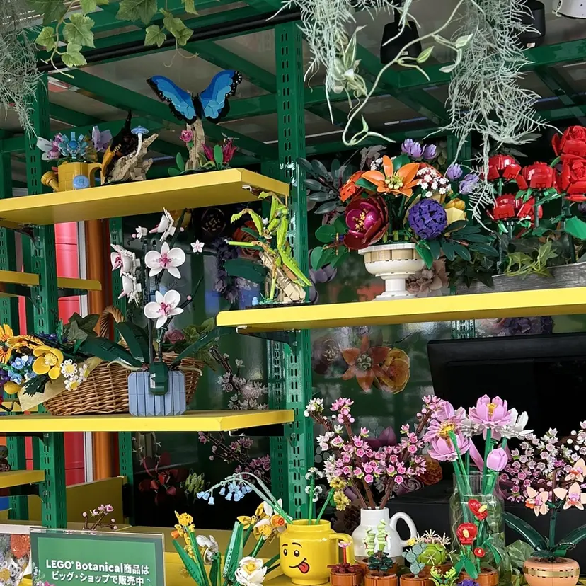 根本 琴子の掲載