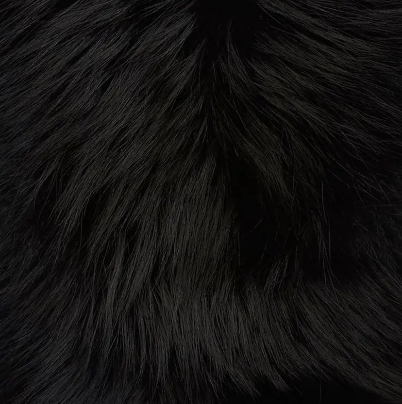 Emieux Saraの掲載