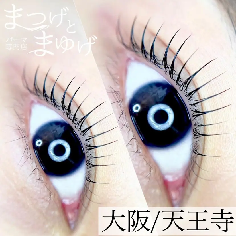 まほ 💎の掲載