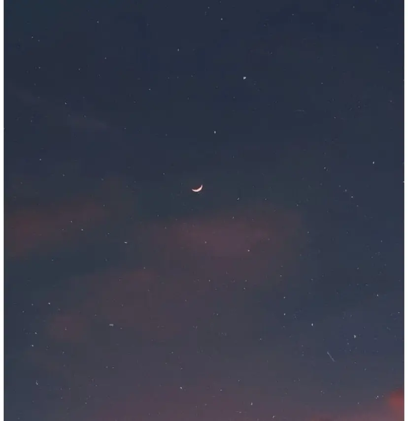 i-dresser 🩶juri🩶の掲載