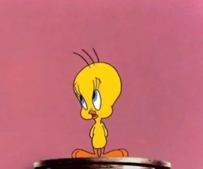 ANEW_ Rinkaの掲載