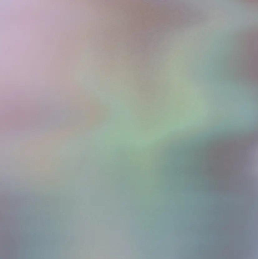 Une fleur DAIAの掲載