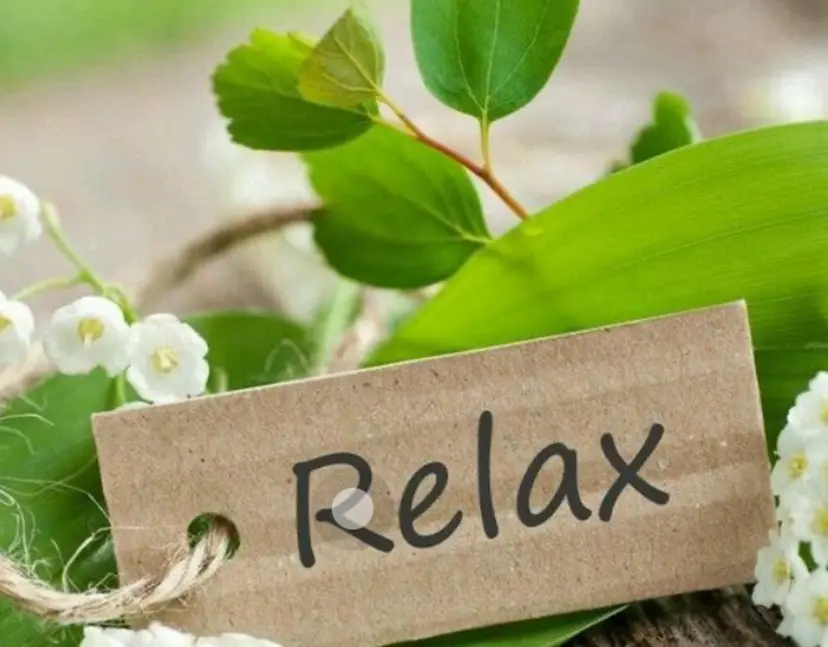 Kanaco HANA🫧の掲載