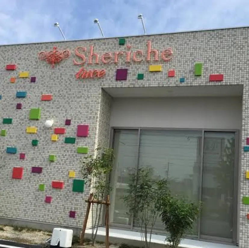 大平 瑞稀の掲載