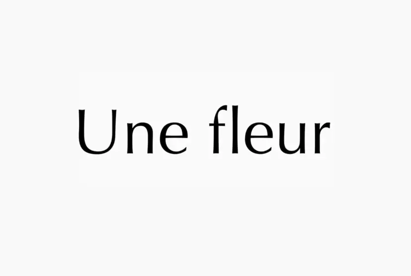 Une fleur AMIの掲載