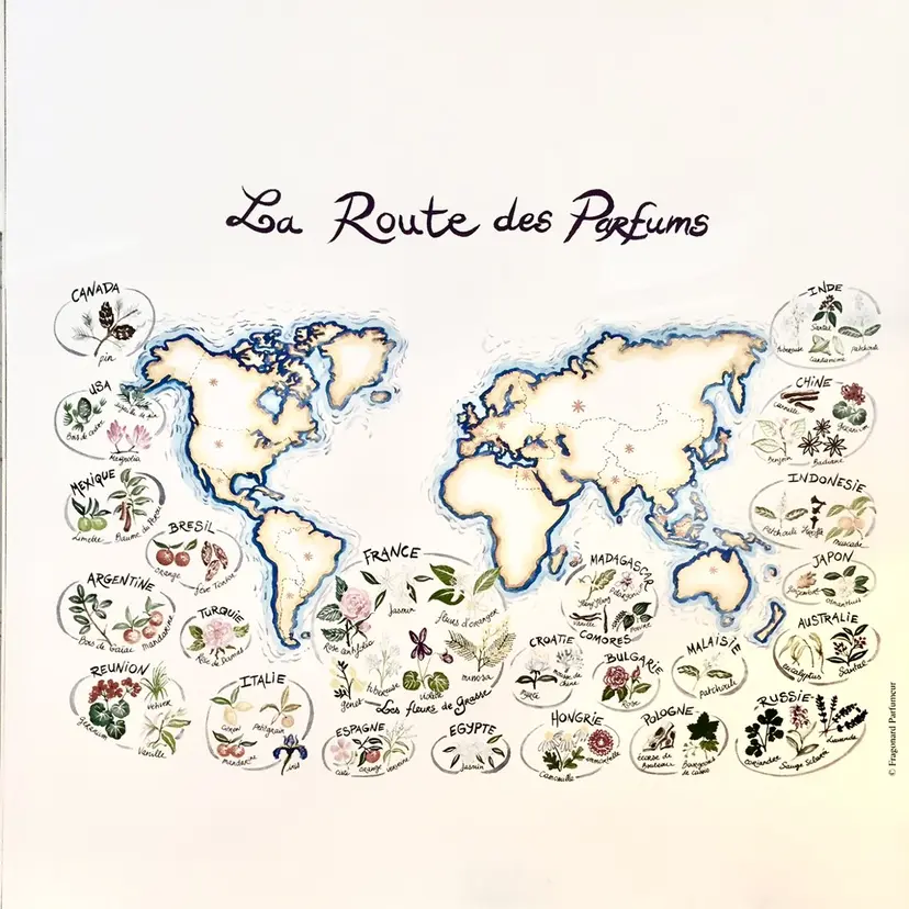 さわだ まきこの掲載