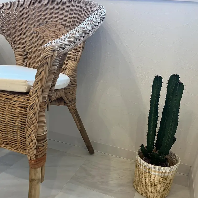 remplir 《ランプリール》の掲載