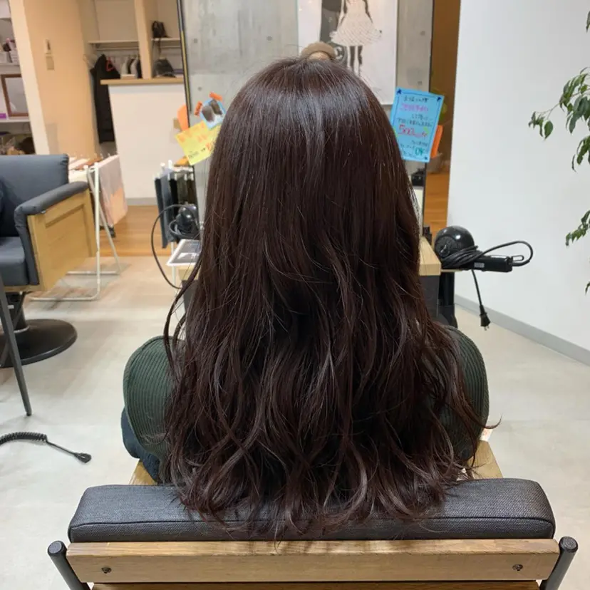 宮崎 千夏の掲載