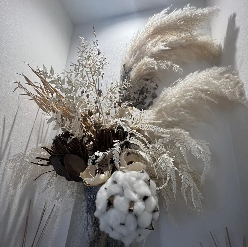 鈴木 陽菜の掲載