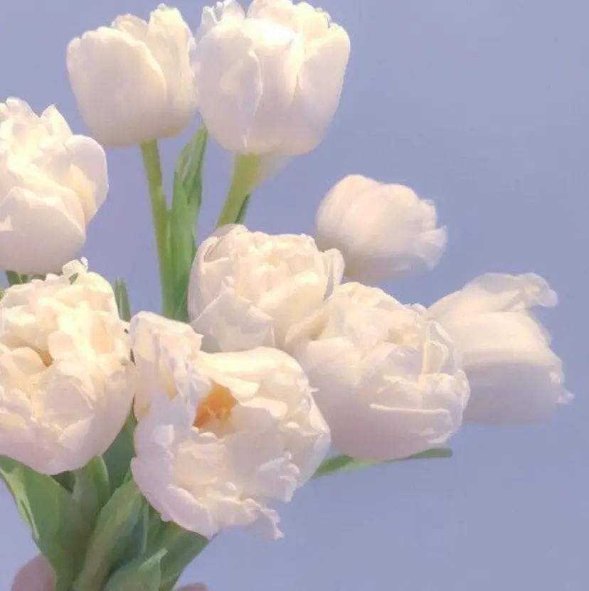 TERRA MATSUZAWAの掲載