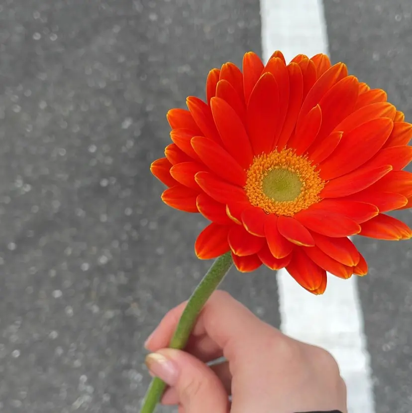 艶髪/レイヤーカット 🐣misakiの掲載