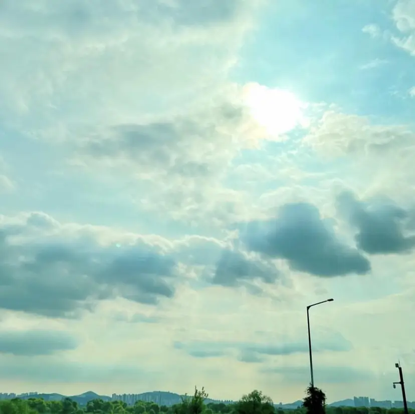 佐々木 麻裕の掲載