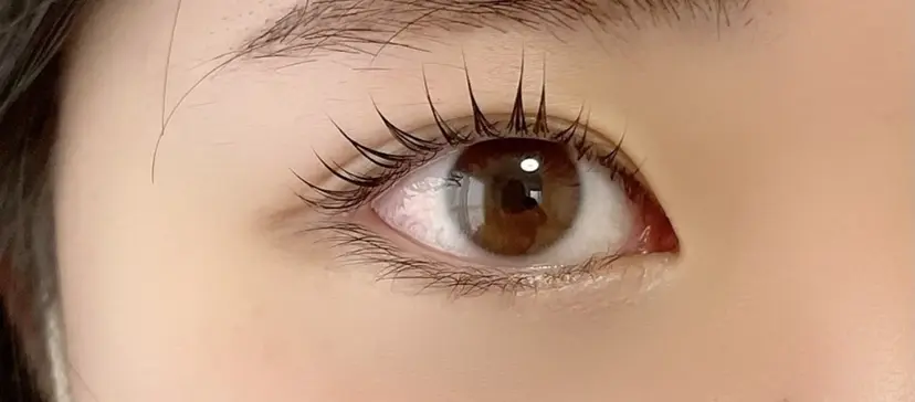 BIMOA ビモアの掲載