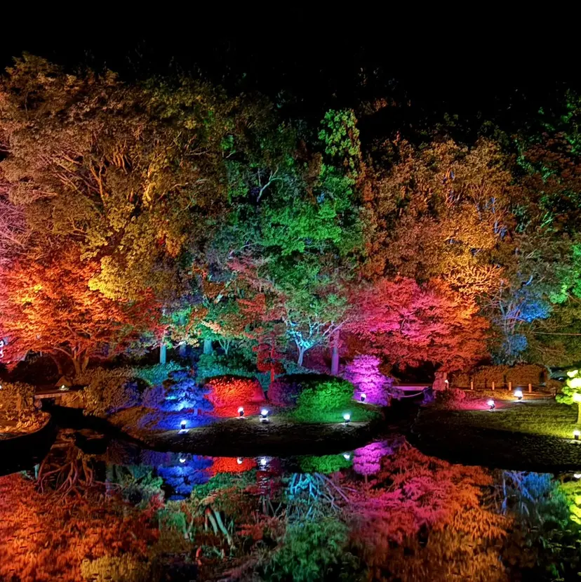 塔尾 真那の掲載