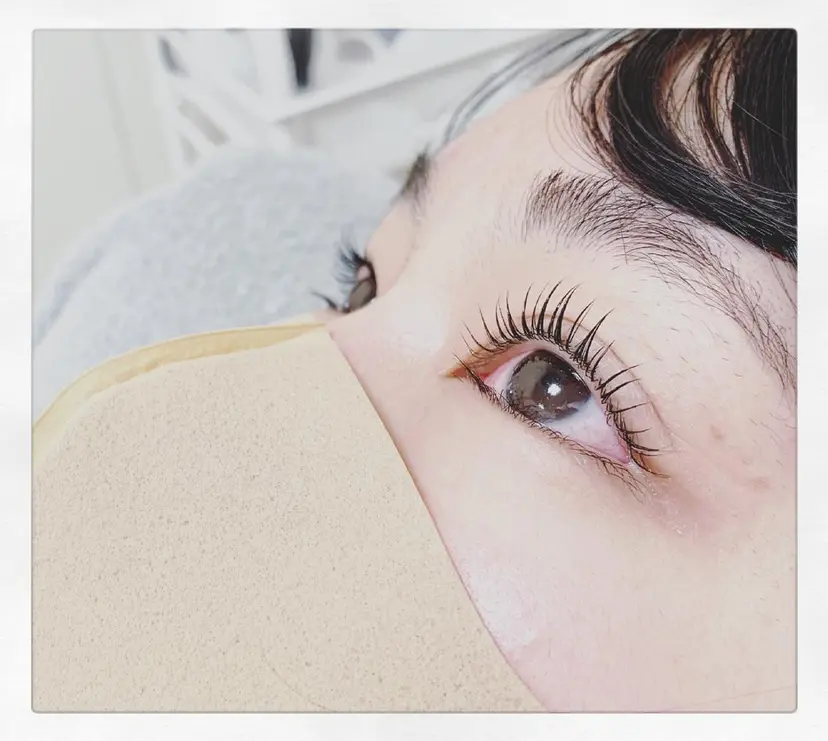 muru ジュニアの掲載