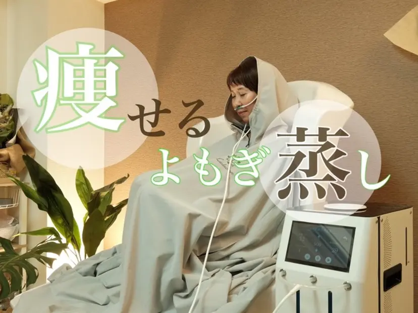 YOSAPARK  Lesoleilの掲載