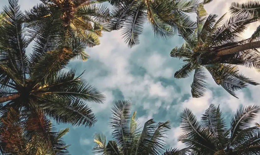 ハイライト/レイヤー /ハイトーン/AOIの掲載