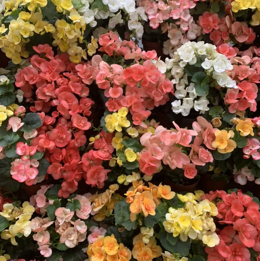 三軒茶屋 maoの掲載