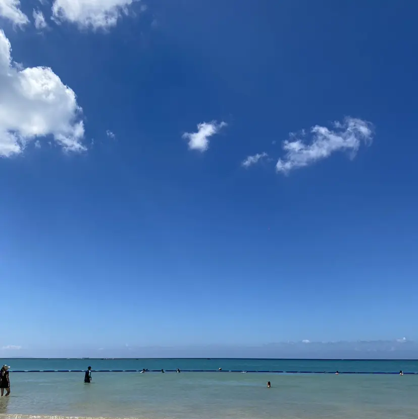 Belle tomomi🐩の掲載