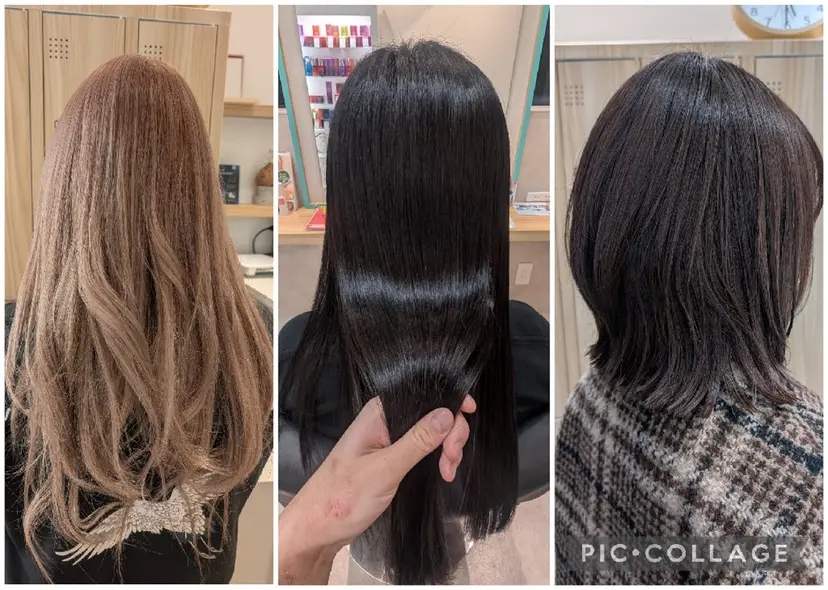 田端みおと🐱 SoZoBridgeの掲載