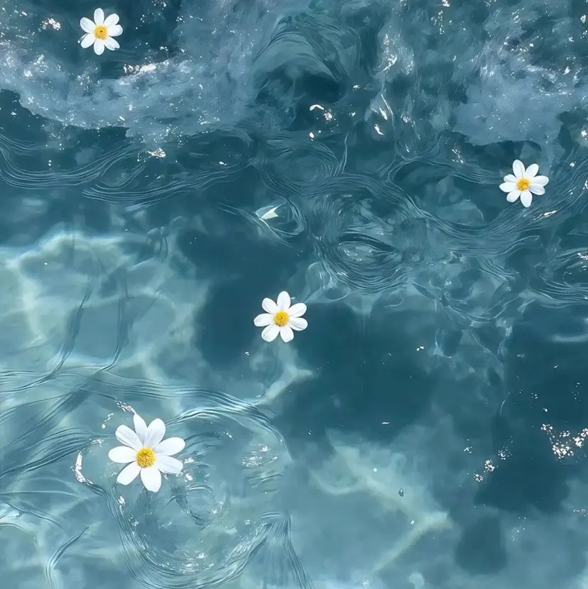 ️🫧mirai ️🫧の掲載