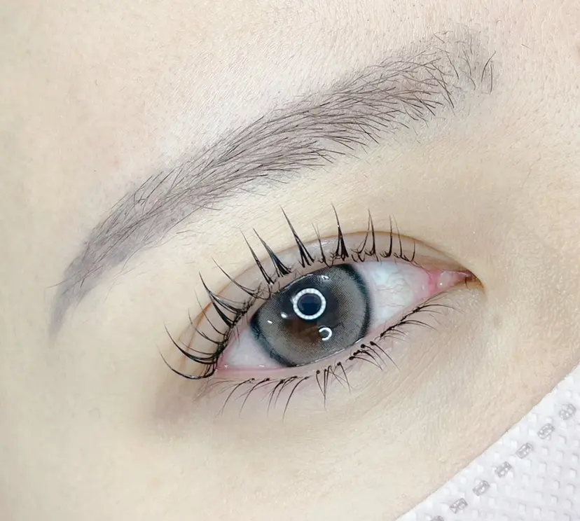 石川 久美子の掲載