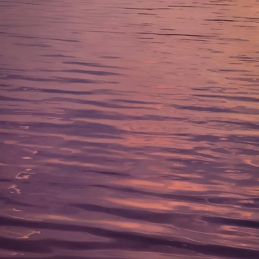 カラーソムリエ 💜いるま💜の掲載