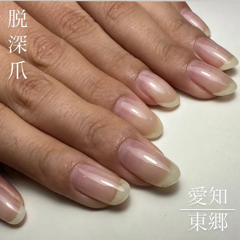 橋口 むつみの掲載