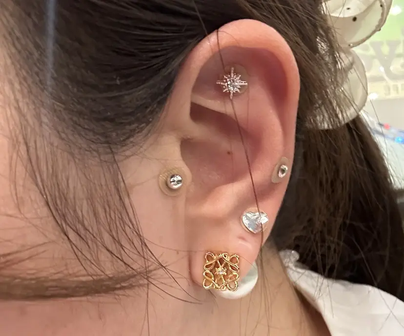 石井 栞菜の掲載