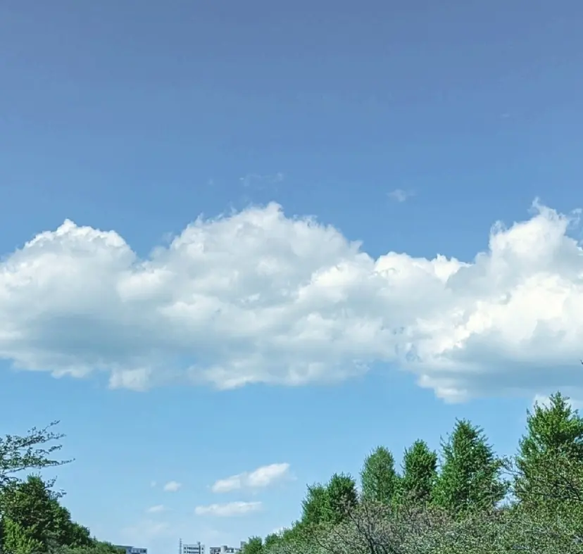 caresalon   solaの掲載