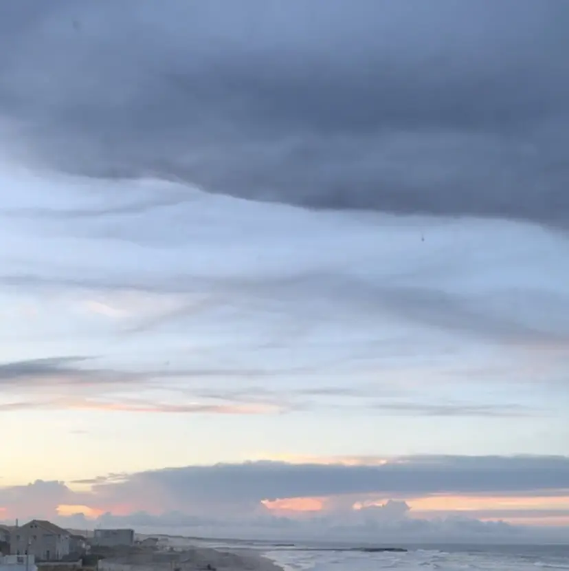 たかの ゆめなの掲載