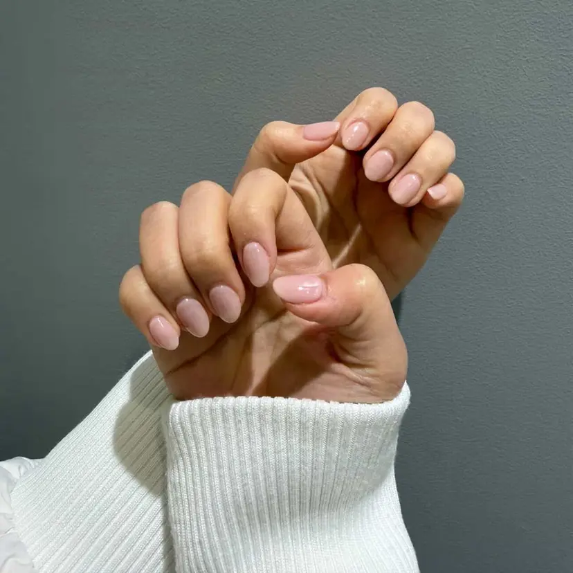 Nikaido Sandraの掲載