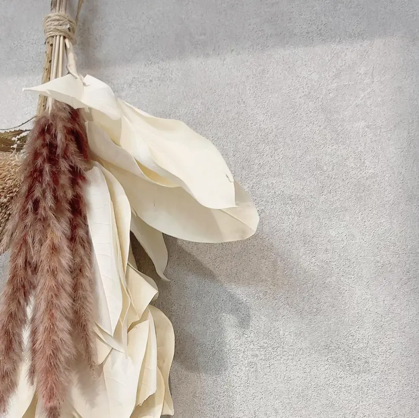 OLIVIA GINZA前川の掲載