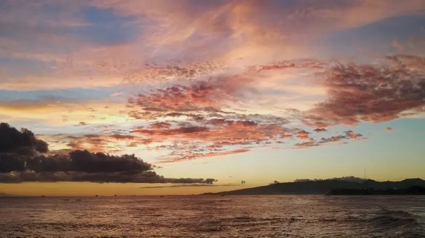 esplendor  小野寺の掲載