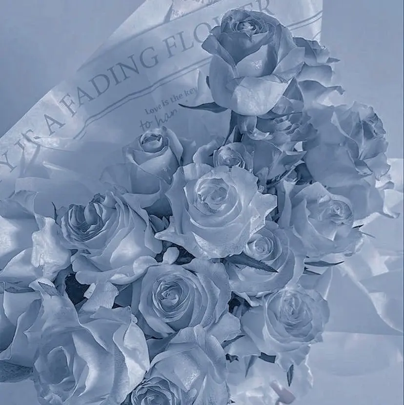 🩵 青木萌華 🩵 髪質改善・髪色改善の掲載